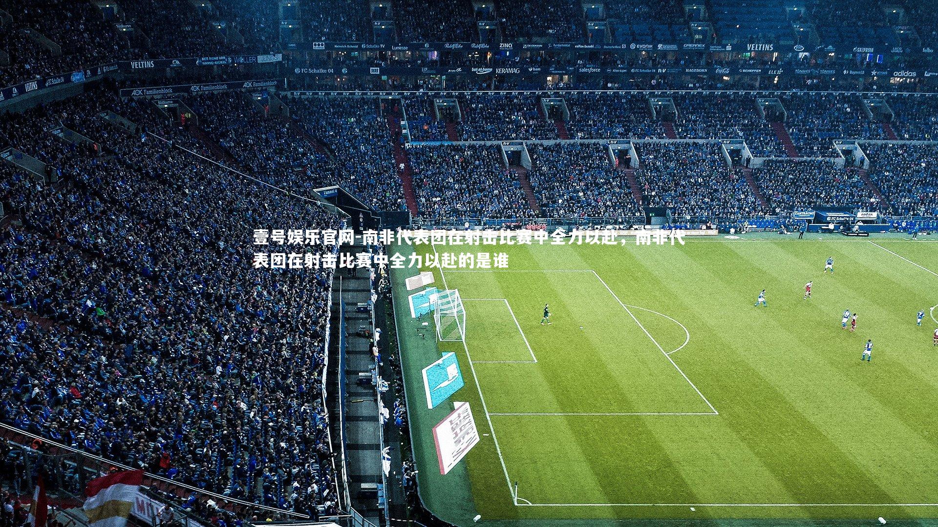 南非代表团在射击比赛中全力以赴，南非代表团在射击比赛中全力以赴的是谁