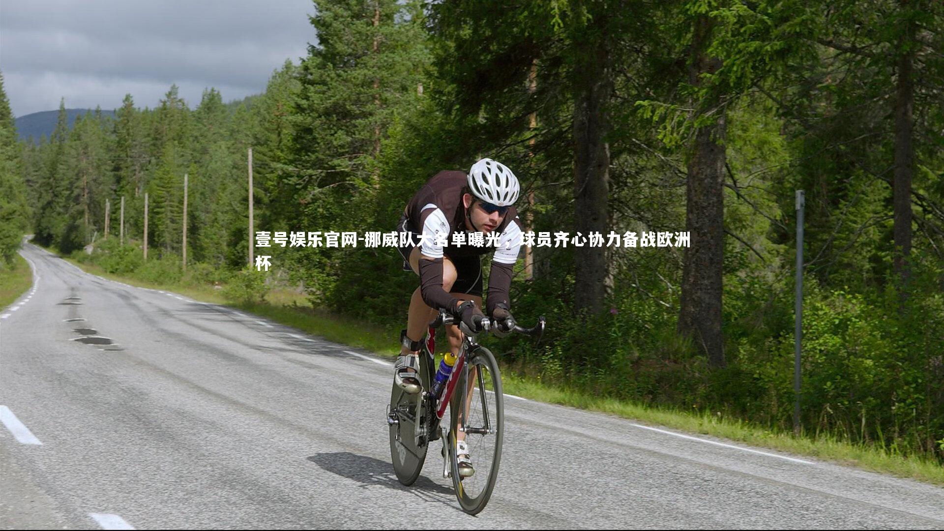 壹号娱乐官网-挪威队大名单曝光，球员齐心协力备战欧洲杯